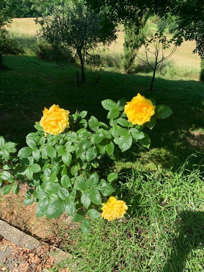 Le Mulina Villa Barberino di Mugello Buitenkant foto